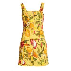 NWT Farm Rio Fruit Lovers Mini Dress - Size Extra Large